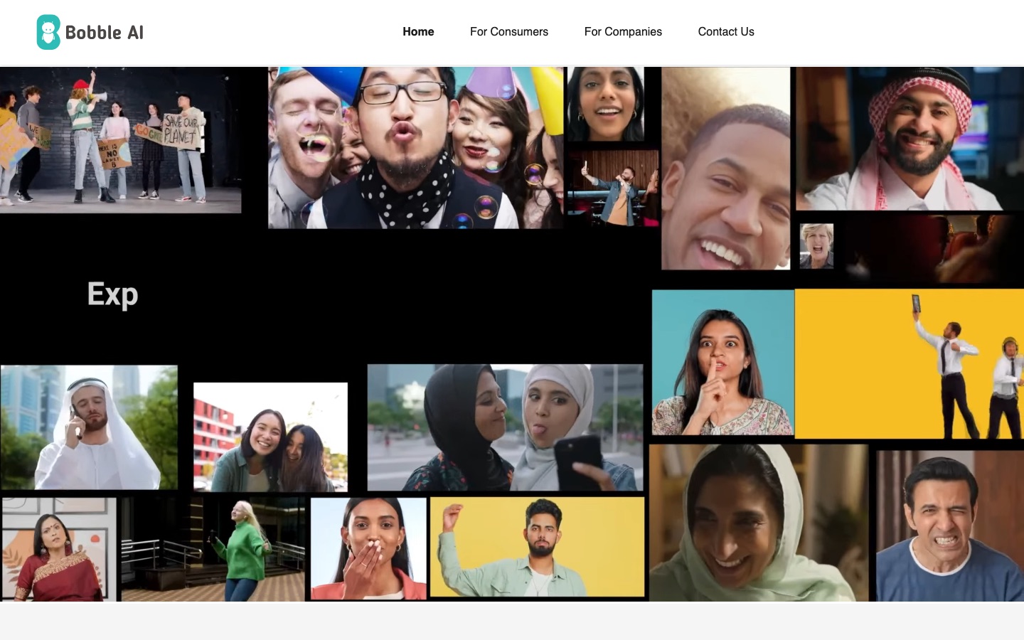 Página de inicio del sitio web de Bobble AI