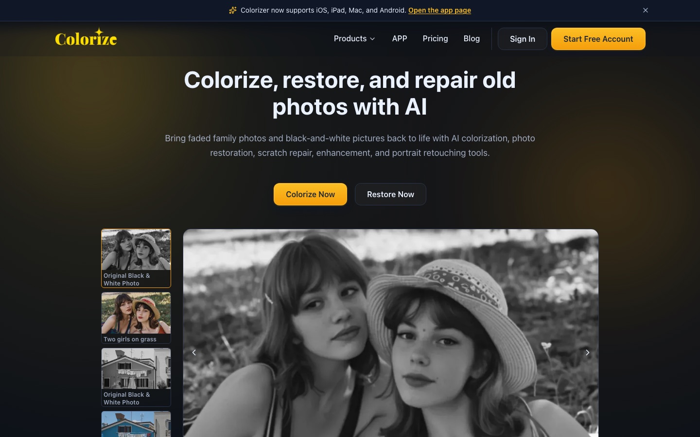 Home page del sito di ImageColorizer