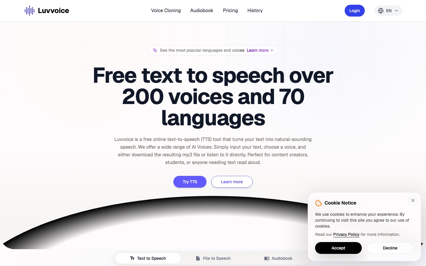 Página de inicio del sitio web de Luvvoice