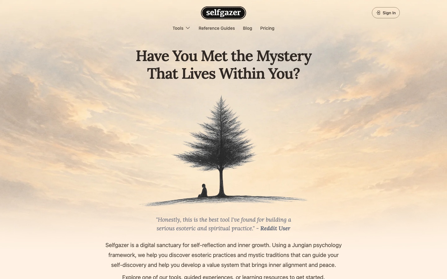 Selfgazer website home page