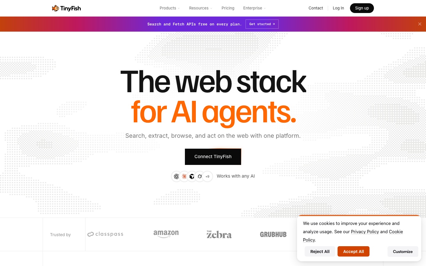 TinyFish web sitesi
