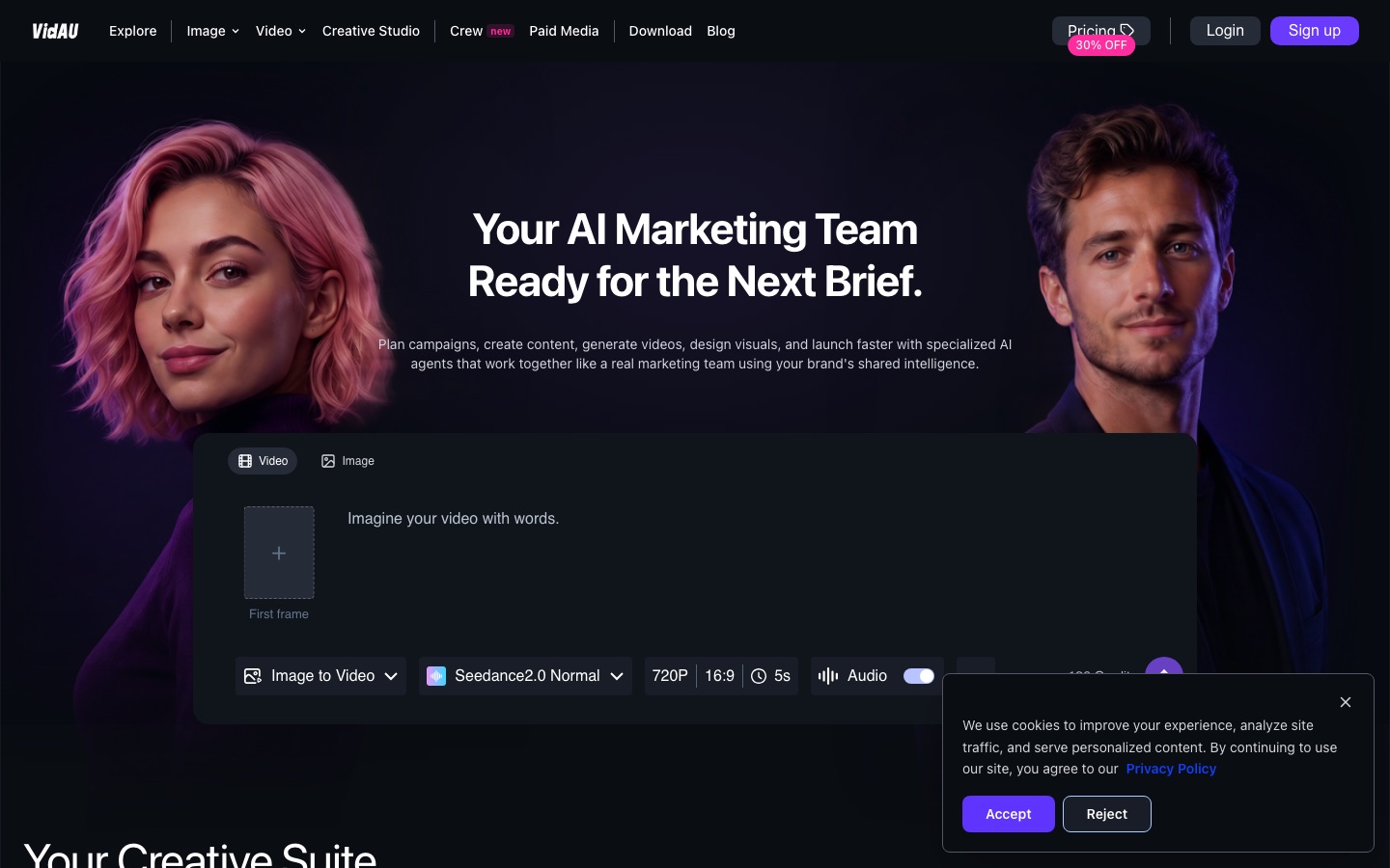 VidAU website home page